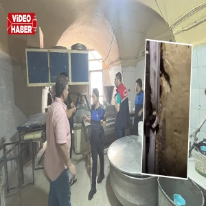 Şanlıurfa’da denetimde mide bulandıran görüntüler! İşletmeye ceza yağdı