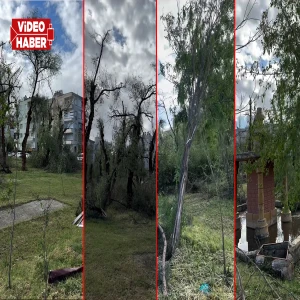 Şanlıurfa'da fırtına doğayı tahrip etti: Ağaçlar söküldü, yuvalar zarar gördü