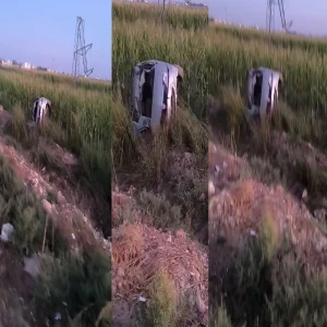 Şanlıurfa'da otomobil mısır tarlasına devrildi: Yaralılar var...