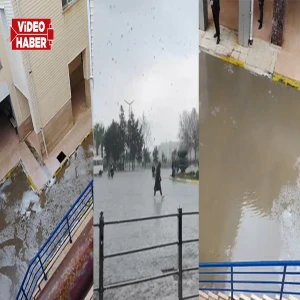 Şanlıurfa’da dolu aniden bastırdı, kaçacak yer bulamadılar! Beyaza büründü…