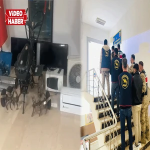 Şanlıurfa’da bağ evinde akıl almaz hırsızlık kamerada! Buldukları her şeyi çaldılar