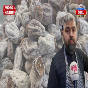 Görenler küf sanıyor ama aslında başka bir şey! Ziyandan zenginliğe...