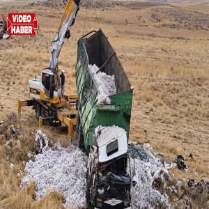 Şanlıurfa’da pamuk yüklü kamyon şarampole devrildi!
