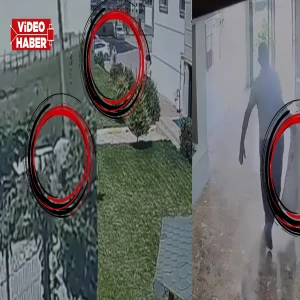 Şanlıurfa’da skandal iddia! Yavruları çuvala doldurup götürdü