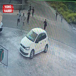 Şanlıurfa'da Cumhurbaşkanı talimatı bile hiçe sayıldı! Bu kaçıncı köpek saldırısı