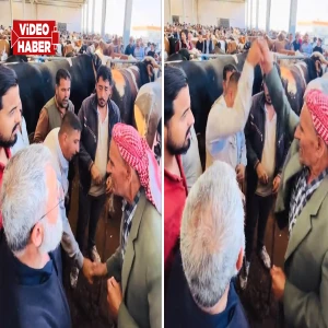 Şanlıurfa’da kurban pazarında gülümseten anlar! Kolundan tuttu, bırakmadı