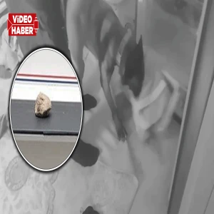 Şanlıurfa’da ev baskınında şoke eden görüntü! Derin dondurucudan bakın ne çıktı