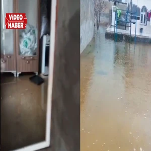 Şanlıurfa’da sağanak felakete dönüştü! Evleri su bastı, vatandaş isyanda