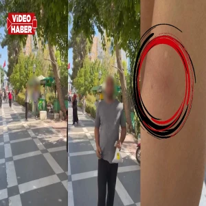 Şanlıurfa bu saldırganı konuşuyor! Sokakta kadın muhabiri, otobüste yaşlı adamı tekmeledi