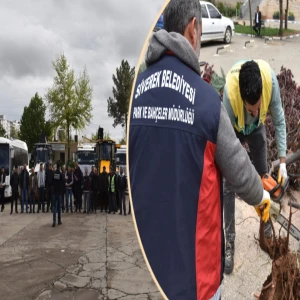 Şanlıurfa'da belediyeler yaraları birlikte sarıyor... Siverek'ten Viranşehir'e destek eli