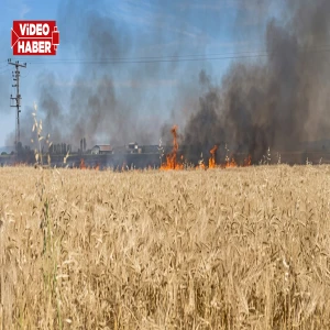 Şanlıurfa’da bir yıllık emek kül oldu! Hasada günler kala…