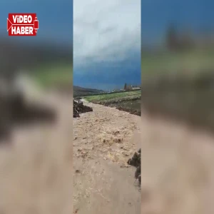Şanlıurfa'da sağanak yağış sele yol açtı: Dereler taştı...
