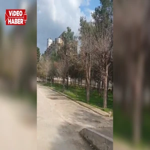 Şanlıurfa çiftçilerden TMO kararına sert tepki! "Bu sistem çiftçiyi bitirir"