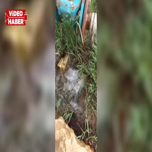 Şanlıurfa'da yağış sonrası büyük tehlike: Her an elektrik çarpabilir