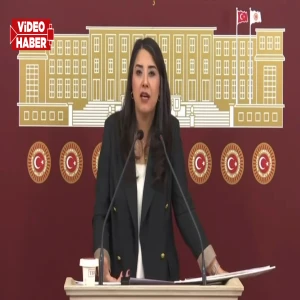 Şanlıurfalı vekilden yetkililere sert sözler! "Bu paralar nerede? "