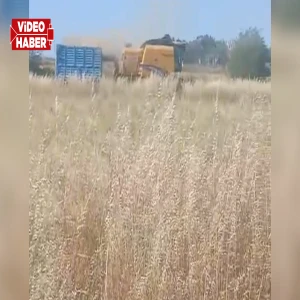 Şanlıurfa'da sezonun ilk arpa hasadı yapıldı