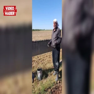 Şanlıurfalı çiftçi sulama birliğine tepki gösterdi: “Aşiret ayrımı yapıldı” iddiası!