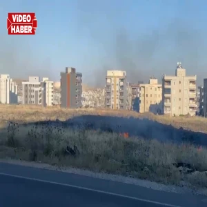 Şanlıurfa'da korkutan yangın! Boş arazi alev alev yandı