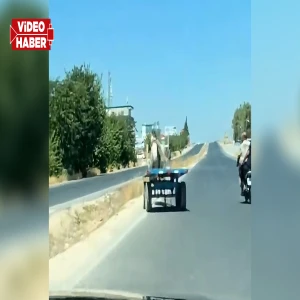 Şanlıurfa'da sahibinin elinden kaçan at, trafiği birbirine kattı