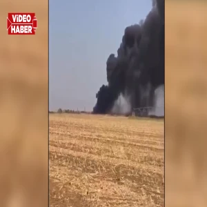Ceylanpınar TİGEM’DE yangın: Gökyüzünü siyah dumanlar kapladı