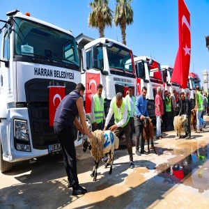 Harran Belediyesi araç filosunu büyüttü! Yeni makineler kurban kesilerek hizmete alındı