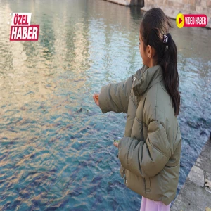 Önce yem atıyorlar, sonra fısıldıyorlar: Dileği olan Balıklıgöl’e akın ediyor!