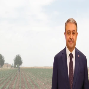 Şanlıurfa Valiliğinden kesin talimat! Mühürle yetinilmeyecek, yıkım gelecek