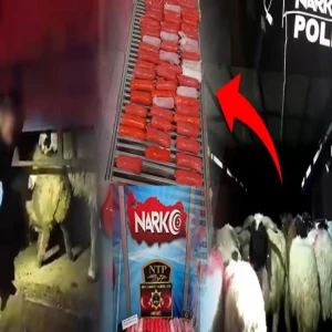 Uyuşturucu kartelleri şeytanı geçti! Onun bile aklına gelmez...