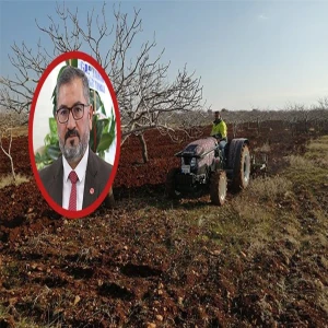 Şanlıurfa’da üreticilere hayati uyarı! “Tam zamanı…”