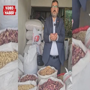 Şanlıurfa’da fıstık rekoltesi arttı, fiyat düştü: İthalatı durdurun çağrısı