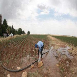 Şanlıurfa’da çiftçilerin beklediği sulama hibesi belli oldu