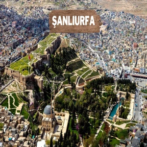 Şanlıurfa’da belediyenin personel alımı iptal edildi! İşte gerekçesi