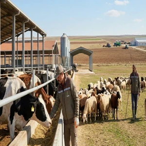 Ceylanpınar TİGEM personel alacak! Detaylar belli oldu