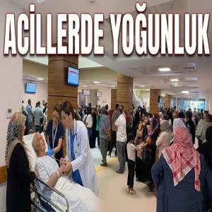 Urfa’da mevsimler karıştı, aciller doldu taştı!