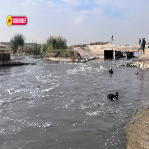Kayıp çocuk günlerdir aranıyordu! Şanlıurfa sınırından acı haber geldi