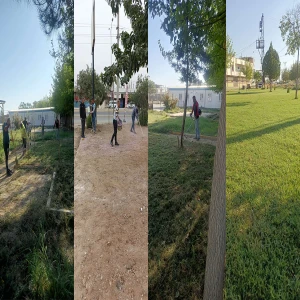Akçakale’de cadde ve sokaklarda yeşil dönüşüm