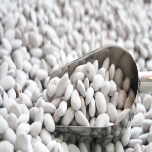 Şanlıurfa’dan gidiyor Elazığ’da ‘beyaz altın’a dönüşüyor