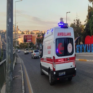 Şanlıurfa’da korku dolu anlar! Köpek saldırısında 1 kişi yaralandı