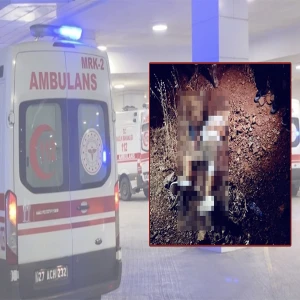 Şanlıurfa'nın komşusunda dehşet: Husumetli iki grup arasındaki kavga kanlı bitti