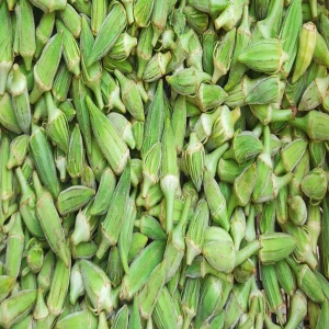 Şanlıurfa’da sonbahar bereketi! Bamya sezonu bitmiyor