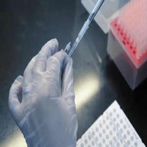 İşe girişte yeni dönem: Bunu yapmayan kapıdan bile geçemeyecek!