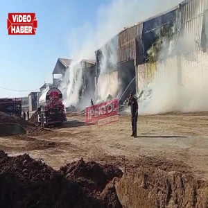 Şanlıurfa’da büyük çiftlik alevlere teslim oldu! Ekipler zamanla yarışıyor