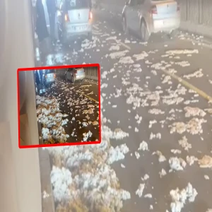 Şanlıurfa’da seyir halindeki kamyonun yükü yola saçıldı!