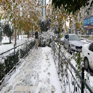 Şanlıurfa'da kar hayatı felç etti: Ağaç devrildi yollar kapandı