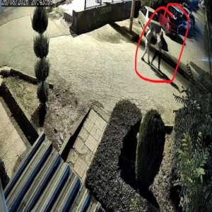 Şanlıurfa'nın komşu ilinde vahşet: Eşini öldürdü, çocuğu alıp kaçtı!