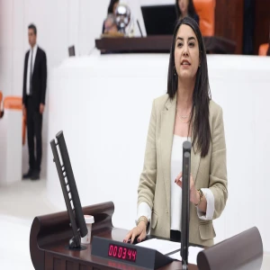 Şanlıurfa’da 400 dönümlük DSİ arazisi bakanlıklara soruldu: Gerekçesi ne?