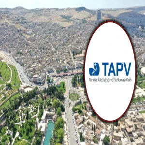 Şanlıurfa’da kupon destek sistemi kurulacak! Proje için uzman aranıyor