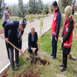 Bakanlık talimat verdi: Şanlıurfa'da şehitlikte bakım ve onarım mesaisi