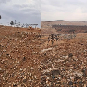 Şanlıurfa'nın komşu ilinde elektrik direği hırsızlığı: 3,4 milyon TL’lik zarar