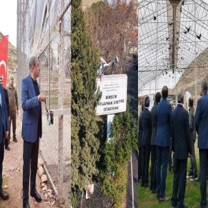 Şanlıurfa'da 14 Şubat'ta yine gelenek bozulmadı: 277'si doğaya salındı